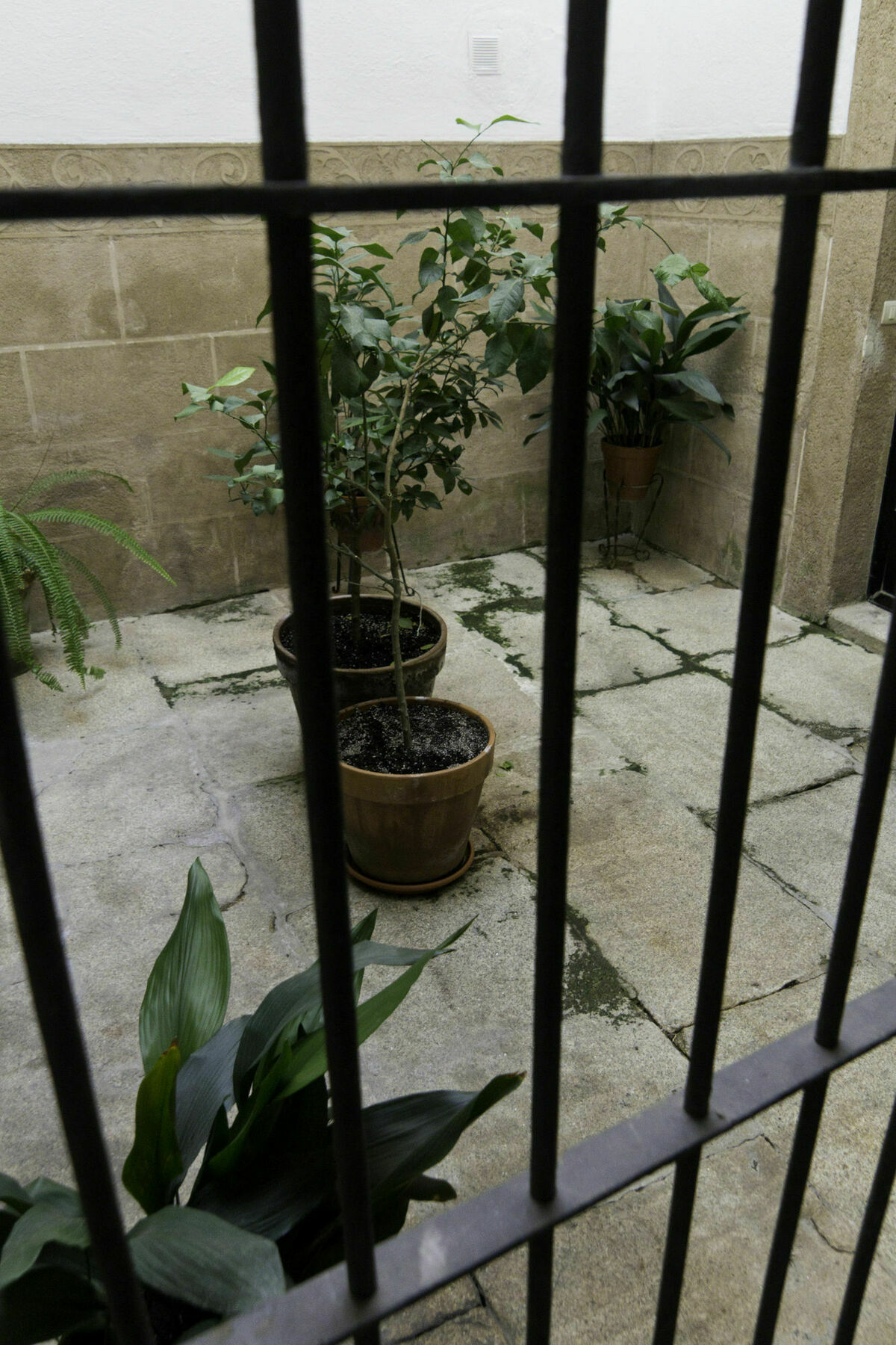 Caces Casa Conde De Santa Olalla מראה חיצוני תמונה